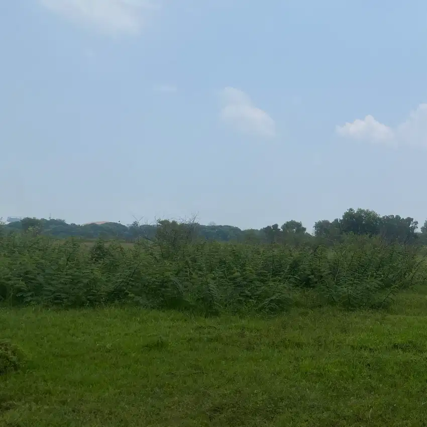 Lahan Industri di Jababeka luas 15ha Harga negosiable