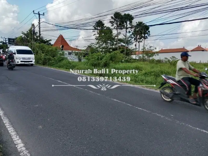 Tanah Disewakan Murah Luas 4 Are View Sawah di Pererenan Canggu