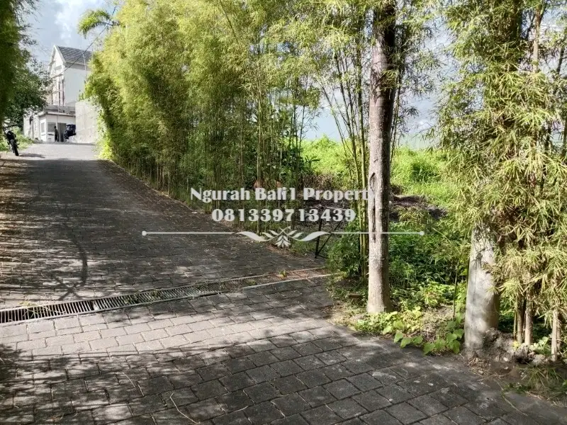 Tanah Disewakan Murah Luas 3 Are Kawasan Villa di Pererenan Canggu