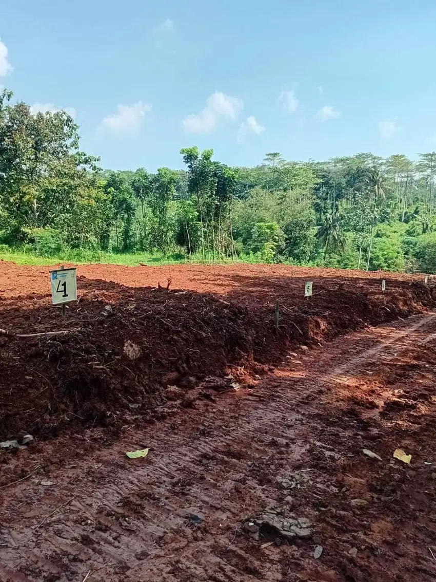 Kavling Ngrembel Gunungpati Semarang  bisa tempo