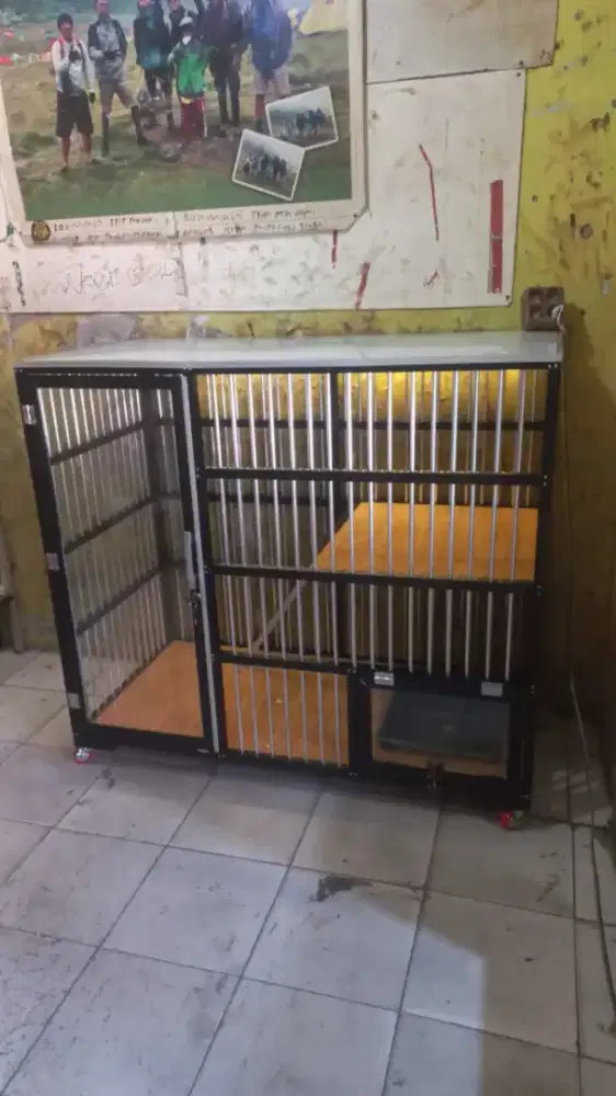 Kandang kucing Mollie