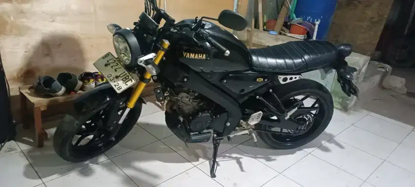 Yamaha CSR 2023