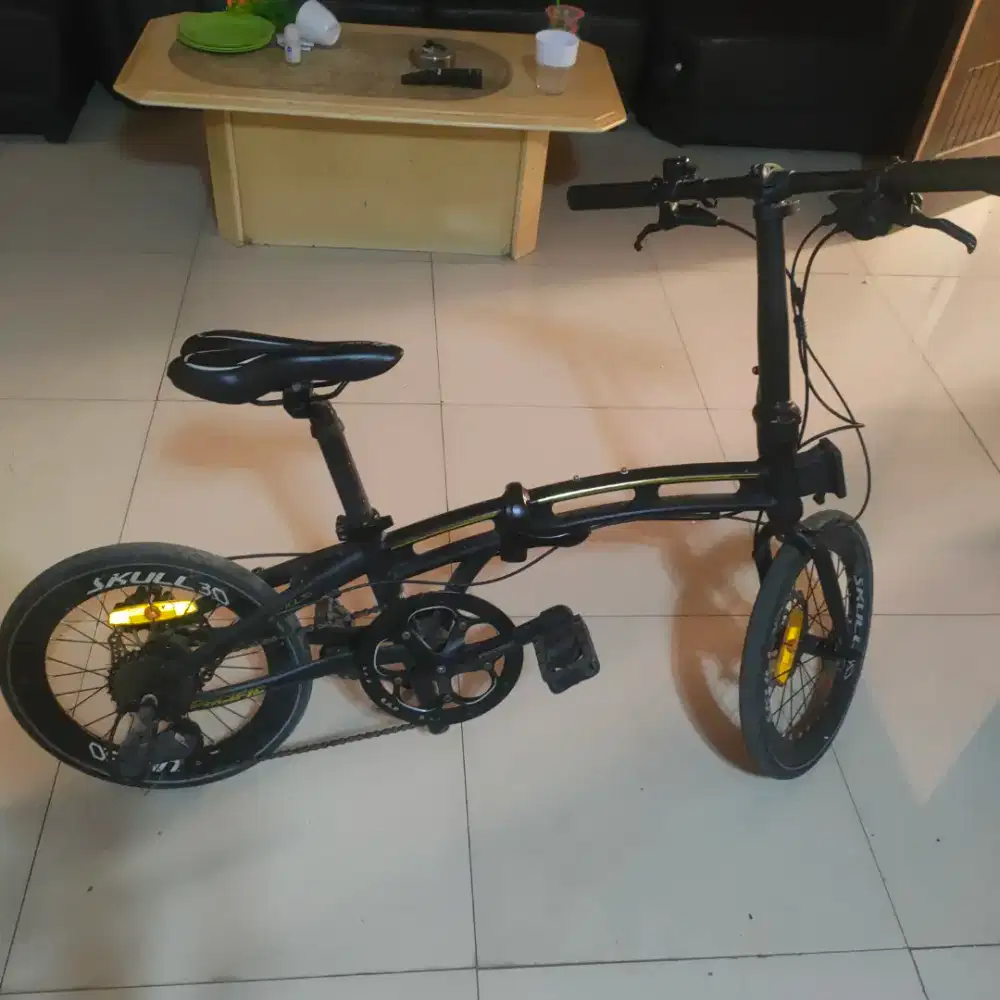 Sepeda Lipat Pacific Skull 3.0