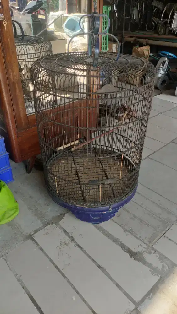 KANDANG BURUNG MURAI