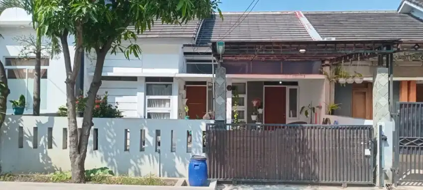 Di Sewakan Rumah