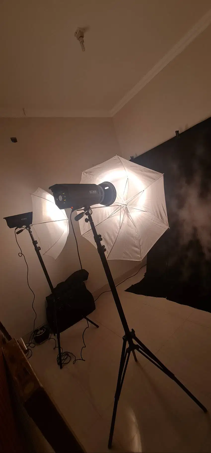 Lampu Studio Golden Shell EC300 + 2 Diffuser + 2 Background & Stand