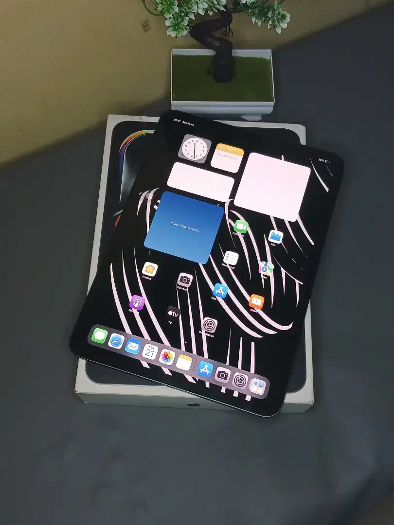 ipad pro M4 11inch 256gb wifi ibox