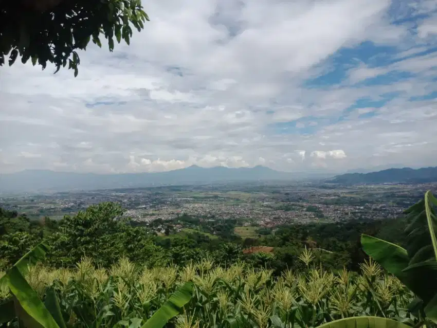 Jual tanan murah soreang kabupaten Bandung