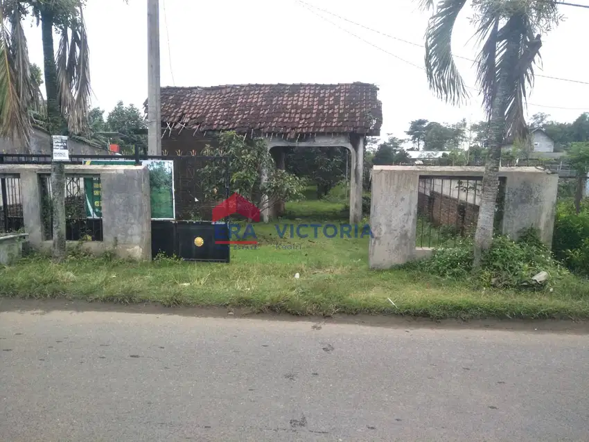 Dijual Tanah Kebun Subur di Ngronggot – Alpukat & Jeruk Berbuah