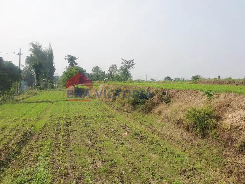 Tanah Strategis di Kota Dekat PG Kebonagung, Jl. Pakis & S. Supriadi