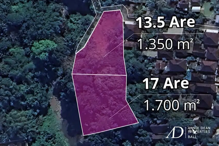 FREEHOLD RIVERFRONT LAND JUNGLE VIEWS - PRIME INVESTMENT IN CEPAKA