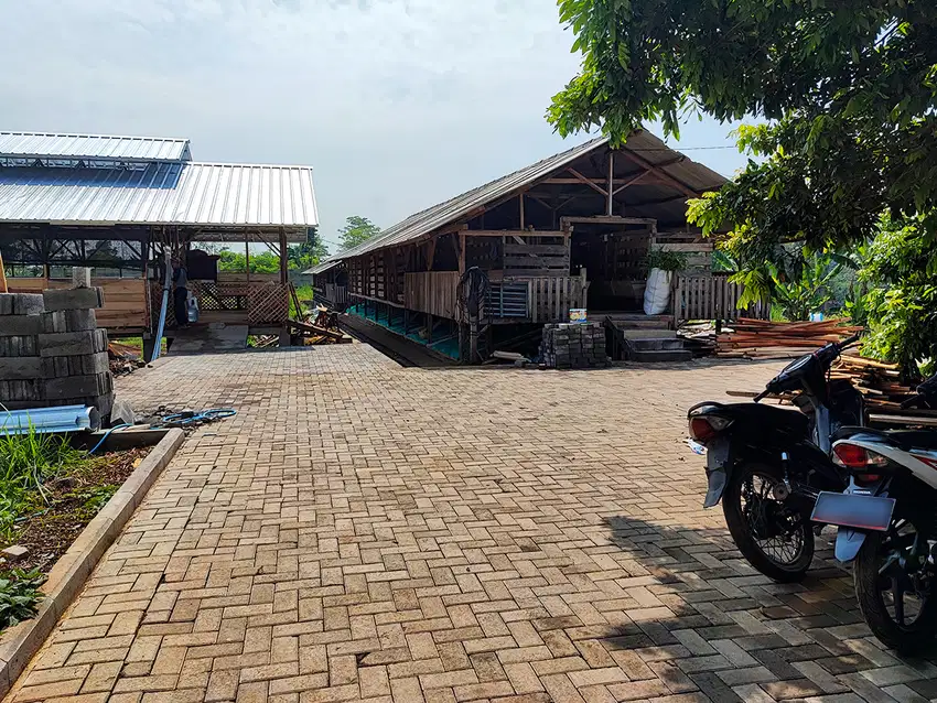 Lahan Produktif / Peternakan Domba Cocok Untuk Usaha Dimasa Pensiun