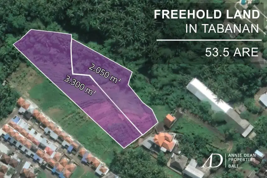 FREEHOLD LAND IN BONGAN, TABANAN ( 5,300 M2) WITH PRIVATE ROAD ACCESS