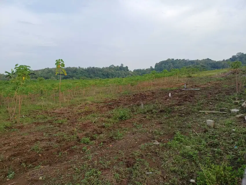 Tanah Mangunharjo Sendangmulyo Dekat UNDIP Tembalang