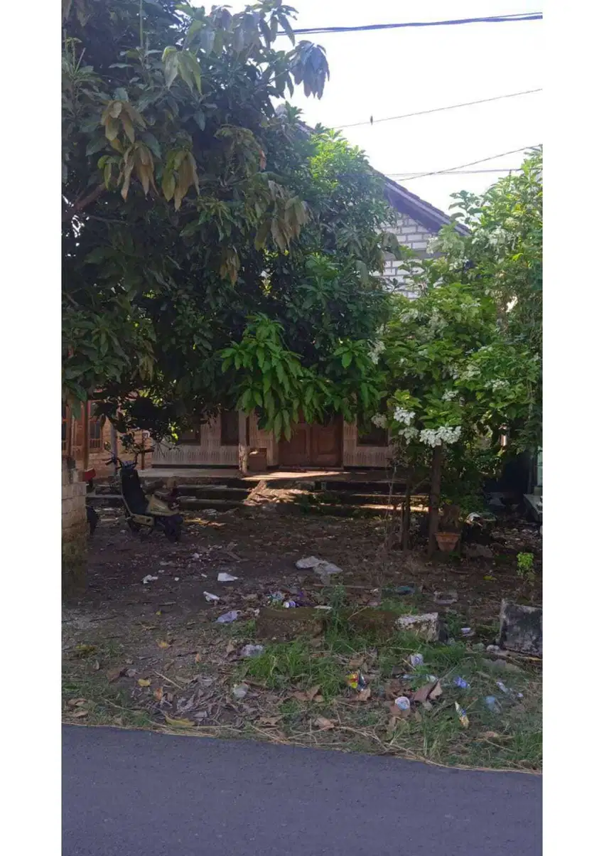 Rumah Kelurahan Cepokorejo Kecamatan Palang Kabupaten Tuban