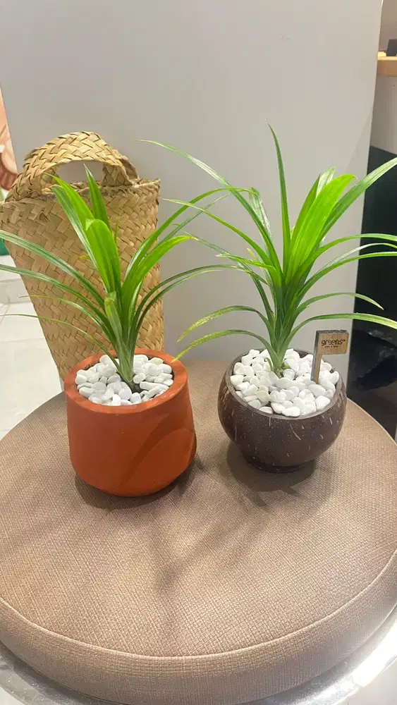 Lowongan untuk Supir tetap atau harian