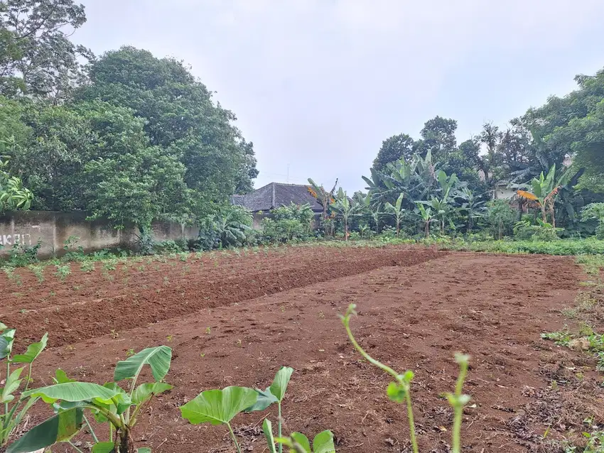 Tanah Luas 105 m² SHM di Cinangka – 11 Menit ke The Park Sawangan