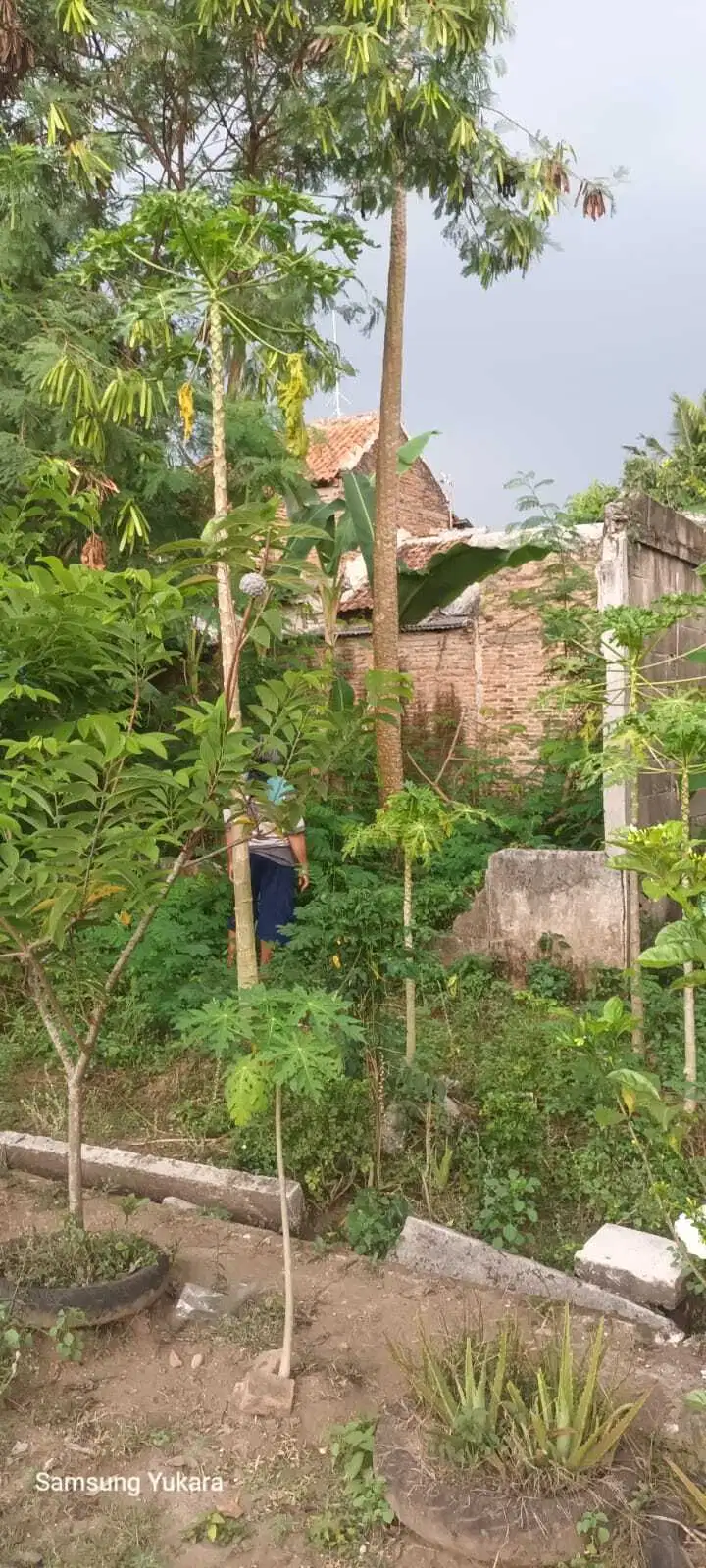 Dijual Murah B U Kavling di Komplek Taman Pipitan Indah, serang