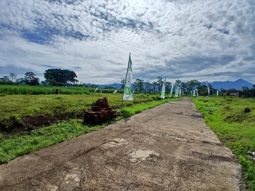 Promo Menarik! Tanah Kavling Malang Dekat Bandara dan Exit Tol Pakis