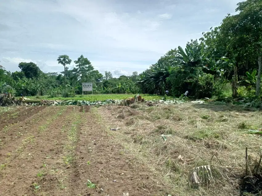 Dekat BSD, Tanah Dijual Murah - Lokasi Cisauk Harga 1jt-an