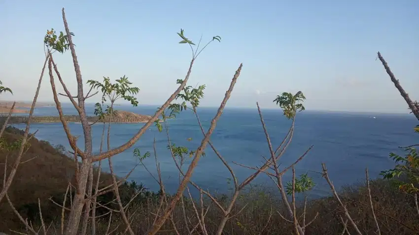 Tanah view laut dan view kapal pesiar di Teluk Kadinan Sekotong
