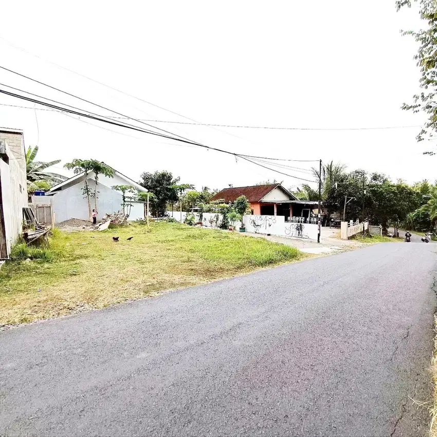 Tanah Kavling Sedayu 2.5 Juta tepi Jalan Aspal Selatan Citra Grand