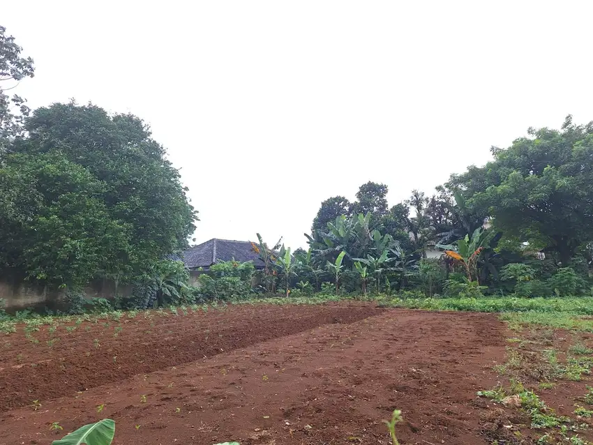Lingkungan Asri, Legalitas Aman – Tanah SHM 111 m² di Sawangan