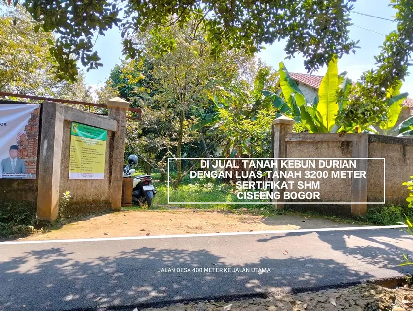 TANAH KEBUN MURAH KEBUN DURIAN DAN STRATEGIS DI CISEENG BOGOR
