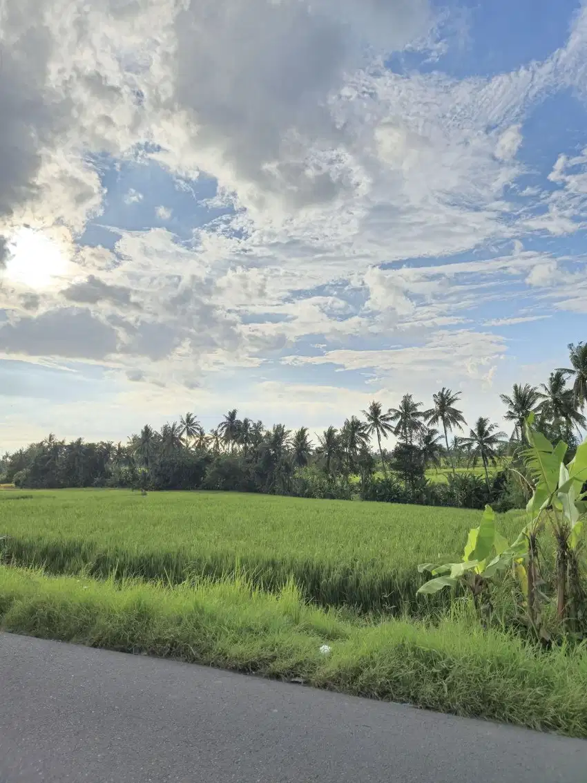 Jual Tanah Eksklusif SUPER STRATEGIS DIJALAN KABA-KABA TABANAN BALI