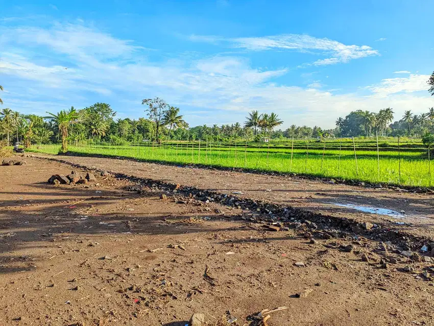 Tanah Jogja SHM 2 Jtan View Sawah Dekat Perum GTA