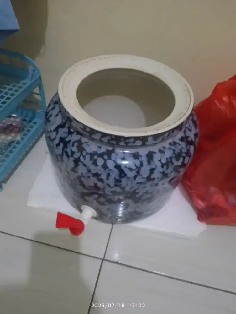 Gucci galon trisensa