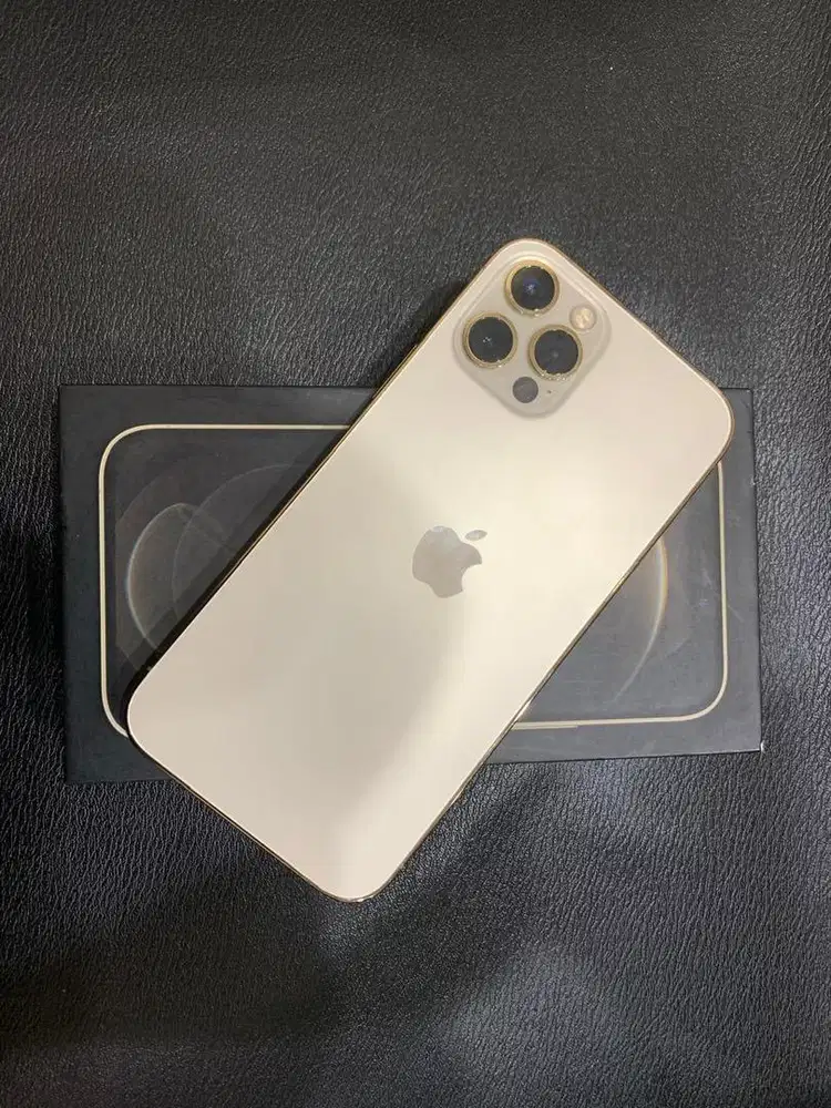 iphone 12 pro 256gb resmi inter mulus