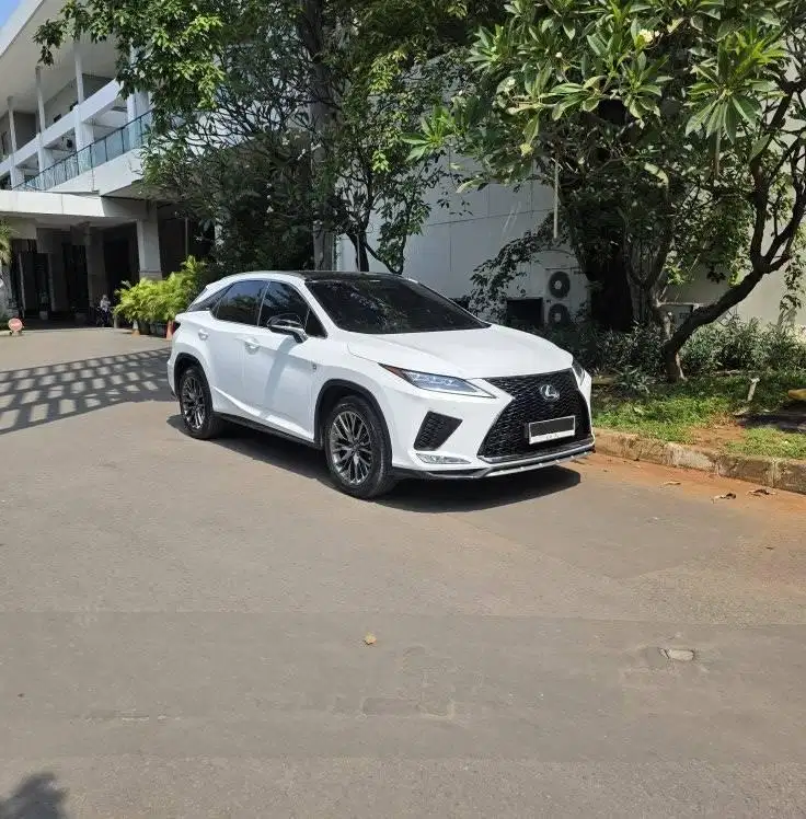 2020 Lexus RX300 F-Sport Facelift ATPM