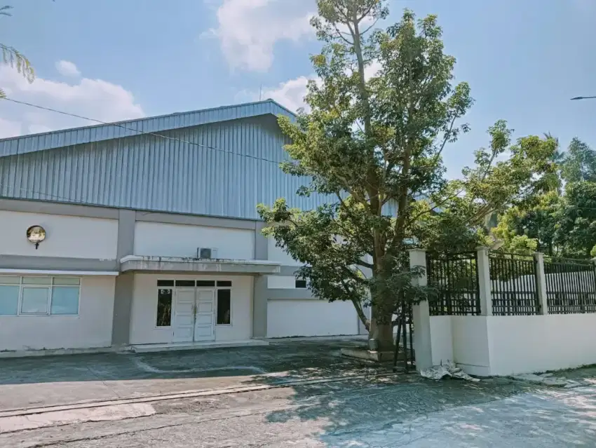 Dijual Pabrik Mie