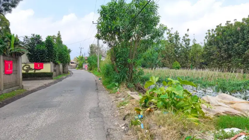 Lokasi Sejuk di puncak bogor dekat taman safari