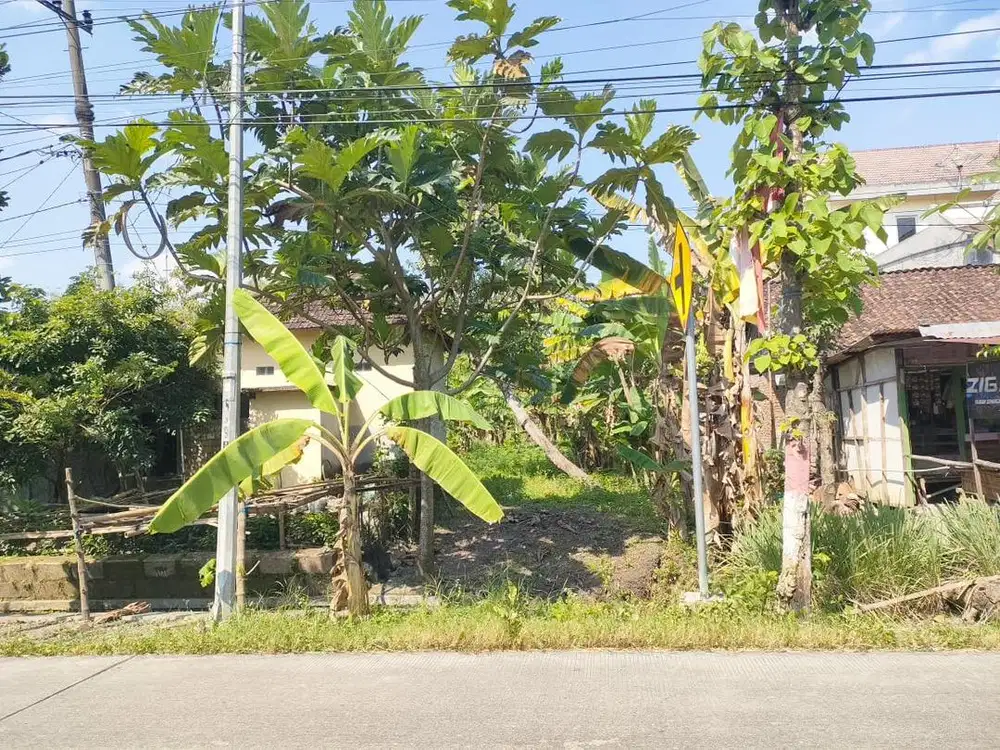 Dijual Tanah milik pribadi luas 336m2 desa bangilan pinggir jalan raya