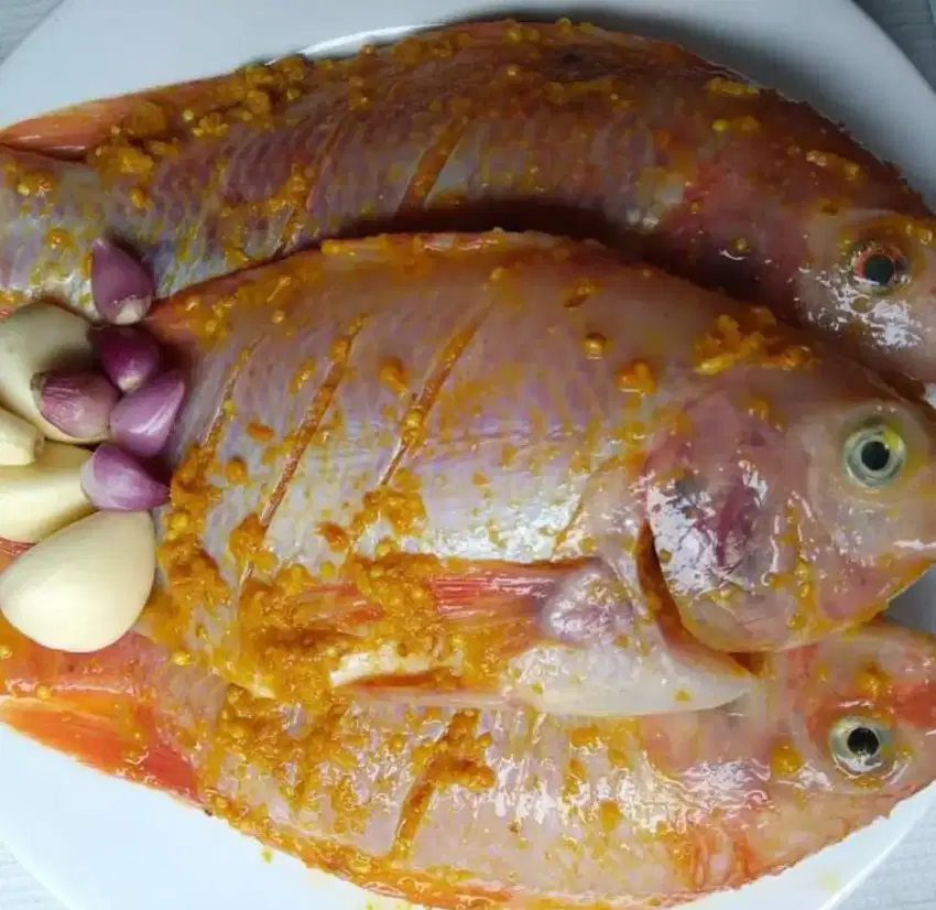 Ikan nila bumbu kuning