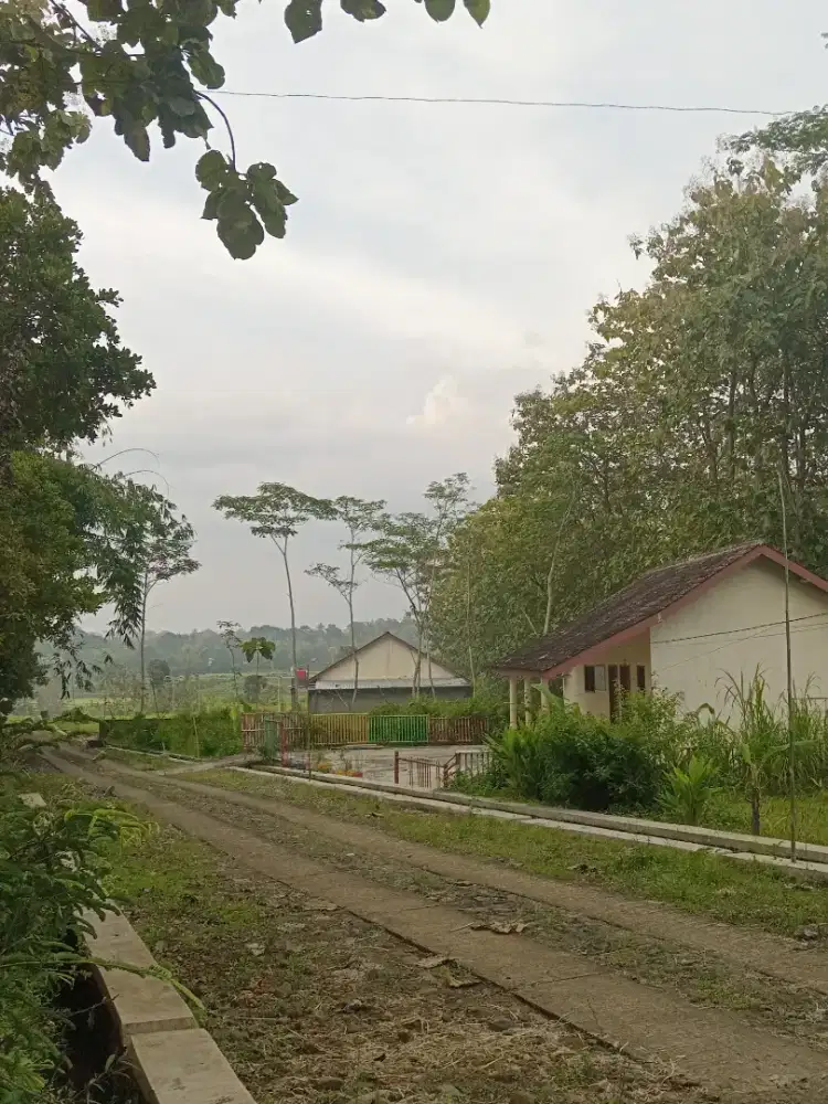 Cari pekerjaan art pp atau cuci gosok