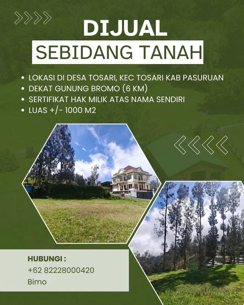 Dijual Tanah Desa Tosari Pasuruan Lokasi Strategis Dekat Gunung Bromo