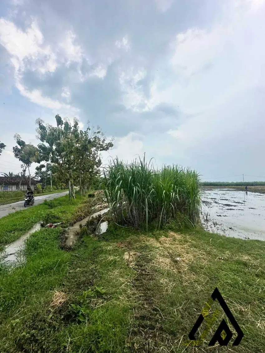 Dijual cepat tanah  industri lokasi Ngawi, Luas 2.4 Ha