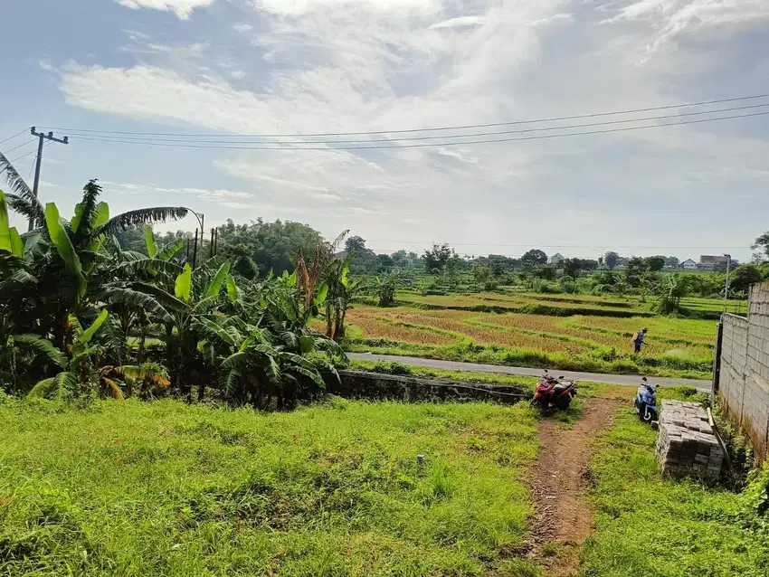 JUAL TANAH KAVLING STRATEGIS DI PRIGEN