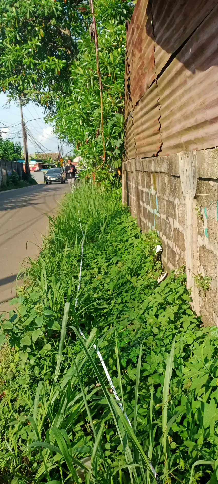 Disewakan tanah di Pagedangan BSD