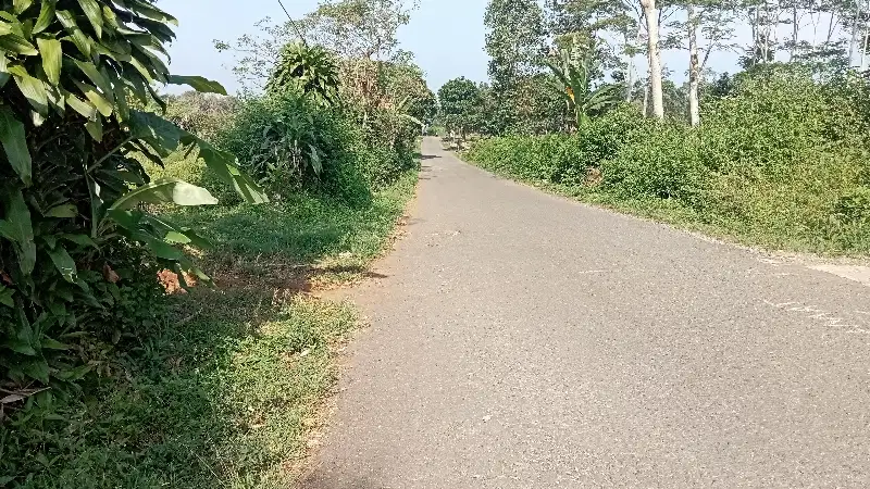 Tanah Kebun Lt. 6225 m, Pinggir Jalann Raya, Bojong, Purwakarta.