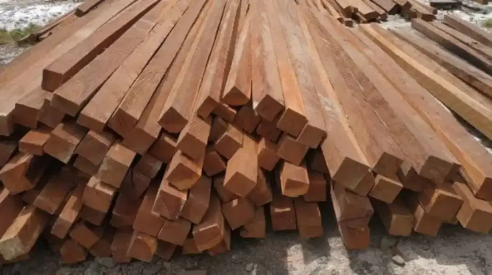 Jual kayu kalimantan