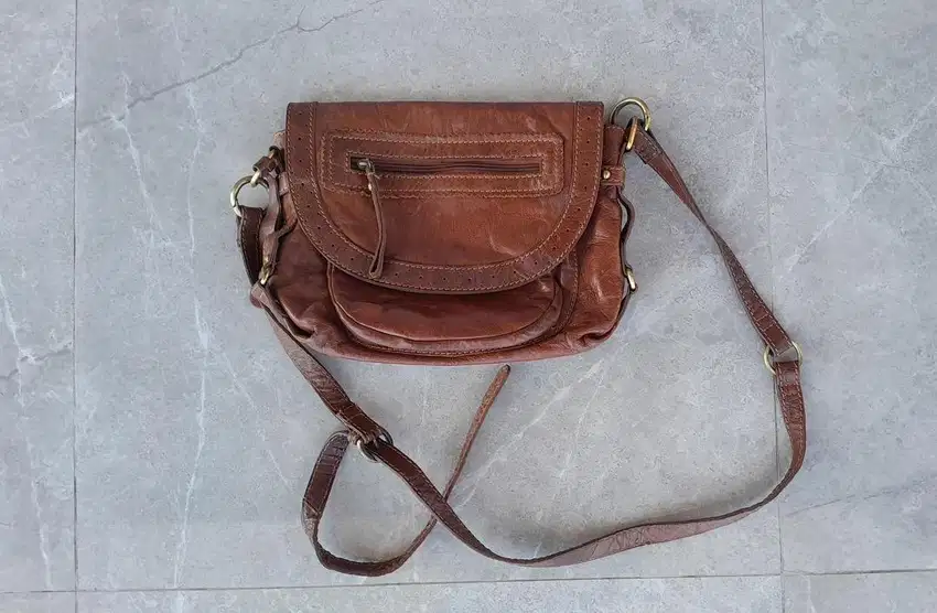 Tas fossil & Colorado