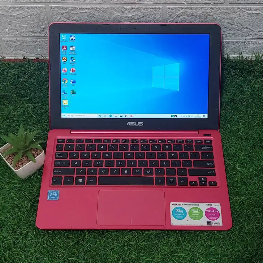 ASUS E202SA INTEL CELERON N3060 RAM 2GB SSD 256GB