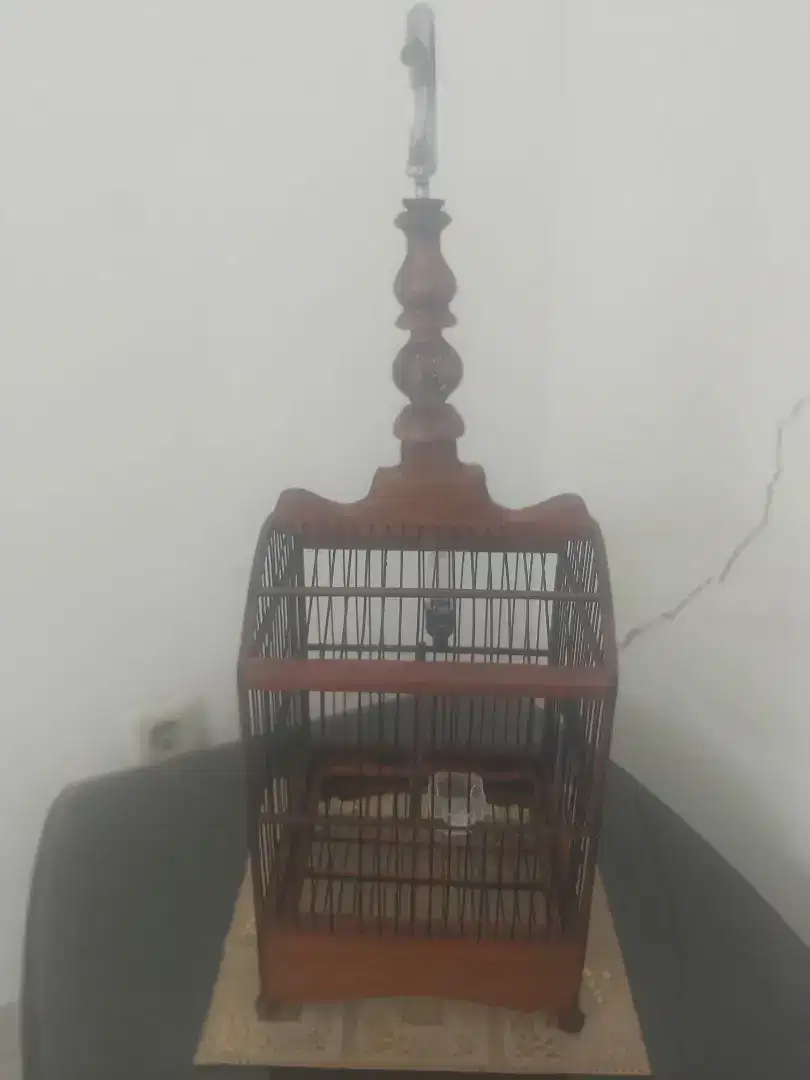 jual sangkar kecil