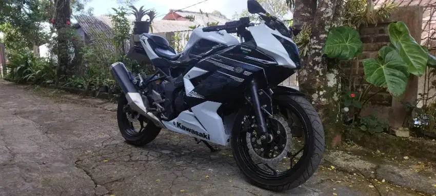 Ninja 250 RR Mono 2014 Jarang Dipakai