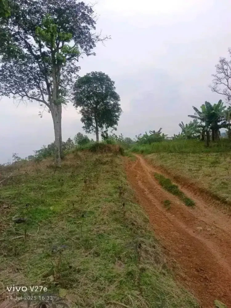 Di jual tanah luas 10000mtr harga 100rb/m