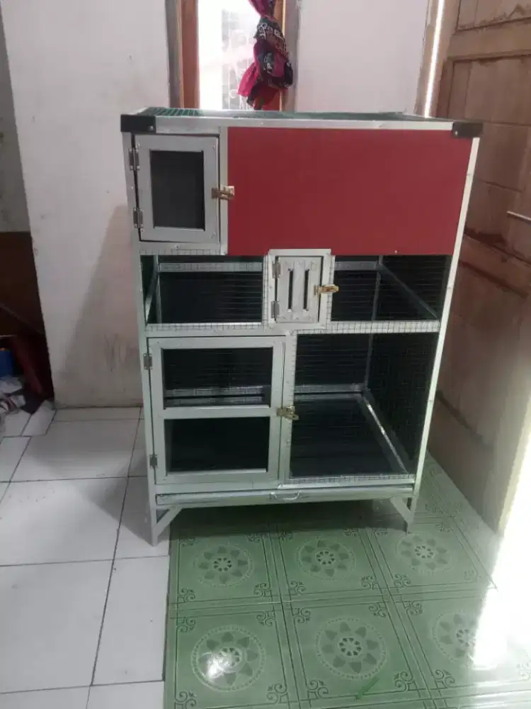 Kandang ternak murai,ijo kacer dll